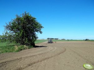 Fendt 312 + Accord Optima