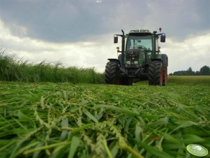 Fendt 312 Vario + Claas Disco 250