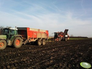 Fendt 515C + Vaia i Holmer