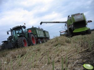 Fendt 716 Vario + 2x Welger 14T