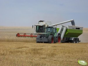 Fendt Favorit 816 + przyczepa samowyładowcza