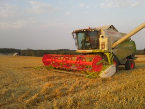 Claas Tucano 440 - 2014