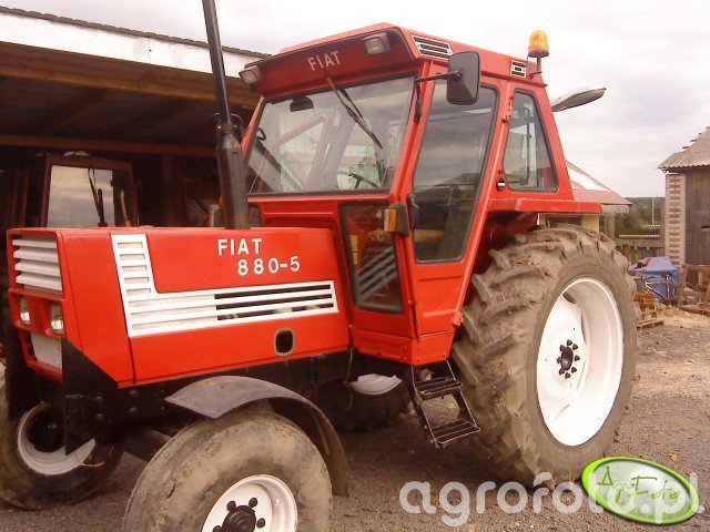 Obraz Traktor Fiat 880-5 Id:300628 - Galeria Rolnicza Agrofoto