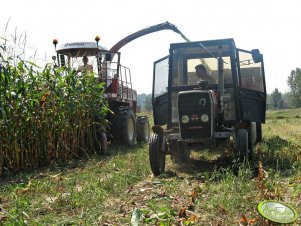 Fiatagri Hesston 7715 & MF 255