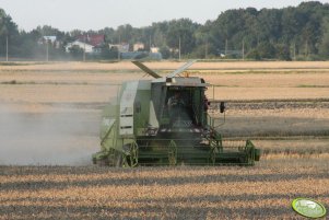 Fortschritt E514 MDW Ernte Meister