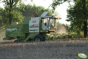 Fortschritt E514 MDW Ernte Meister