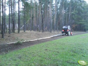 Fotki z ciagania drzewa