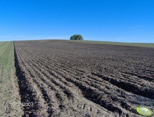  Głęboka orka :) 