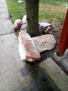 Gleboszobranie 2018 :)