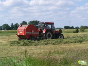 Greenland RF 150 + Zetor