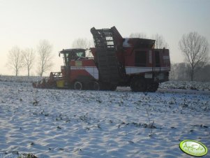 Grimme Maxtron