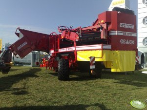 Grimme