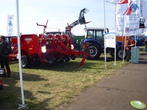 Grimme