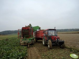 Guaresi & Zetor 7745 Turbo