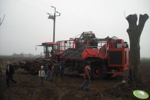 Holmer Terra Dos T3 