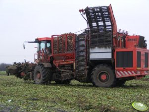 Holmer TerraDos