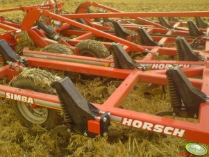 Horsch Simba