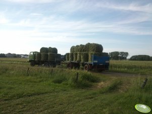 Ifa L60 1218 i Kaessbohrer U12B