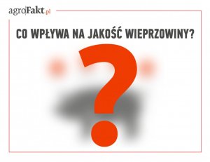 jakosc wieprzowiny rozmycie AFoto