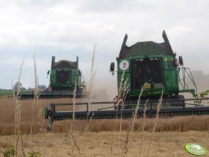 JD STS 9880i