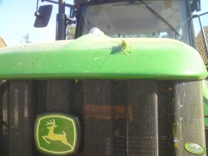 JD 