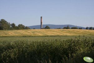 Jęczmień ozimy "Nectaria"