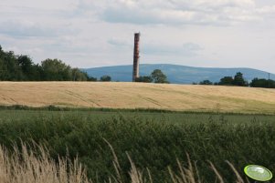 Jęczmień ozimy Wintmalt 26.06.2011