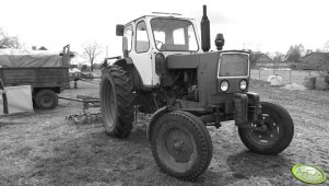 Jumz 6M