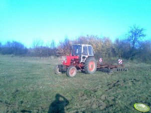 Jumz i talerzówka rosyjska