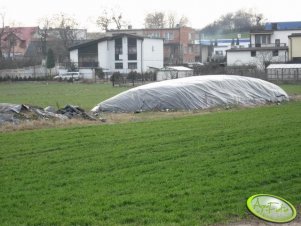 Kiszonka z kukurydzy 2007