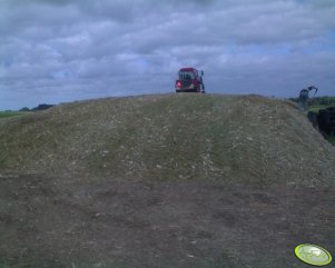 Kiszonka z kukurydzy