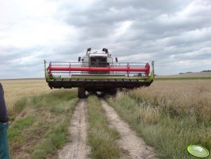 Koszenie rzepaku 07.07 Claas Lexion 450 C750