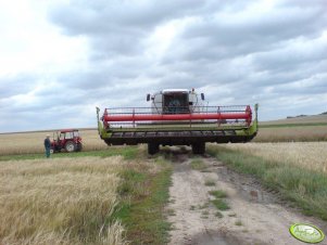 Koszenie rzepaku 07.07 Claas Lexion 450 C750