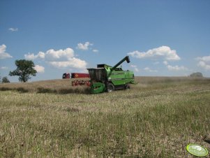 Koszenie rzepaku 15.07 Deutz Fahr M36.10