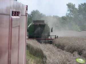 Koszenie rzepaku 15.07 Deutz Fahr M36.10