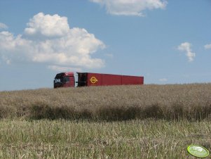 Koszenie rzepaku 15.07 transport wynajety