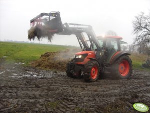 Kubota M8540 + Quicke Q35