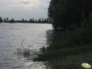 Łąki 2010