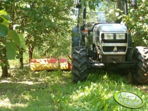 Lamborghini 660 f-plus 