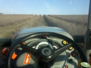 Lamborghini RS80 Środek