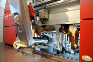 Lely Astronaut A3