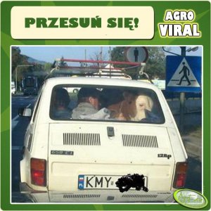 Mało miejsca? ;)