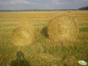 Mały i duży balot