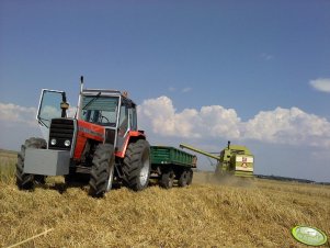 Massey Fegruson 699 & Claas Mercator 70