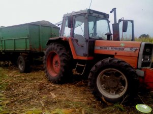 Massey Ferguson 1014