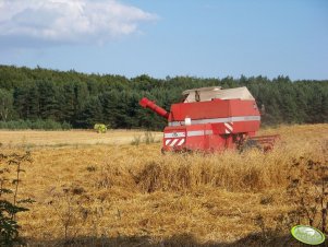  Massey Ferguson 186 + Claas Compact 30