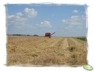 Massey Ferguson 187