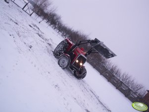 Massey Ferguson 238