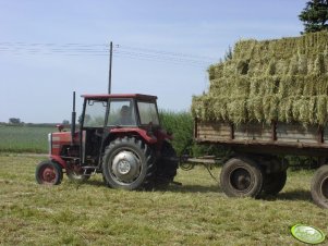 Massey Ferguson 255 + Autosan D-732