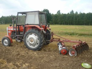 Massey Ferguson 255 + Brona talerzowa 